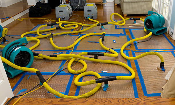 Professional Flood Damage Restoration technician working in Ovid, MI
