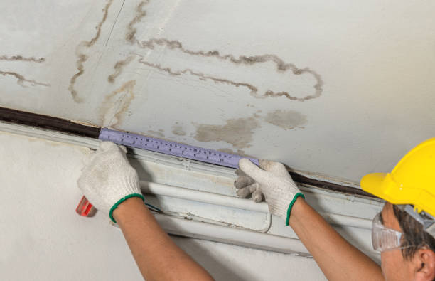 Affordable Water Damage Repair solutions in Ovid, MI